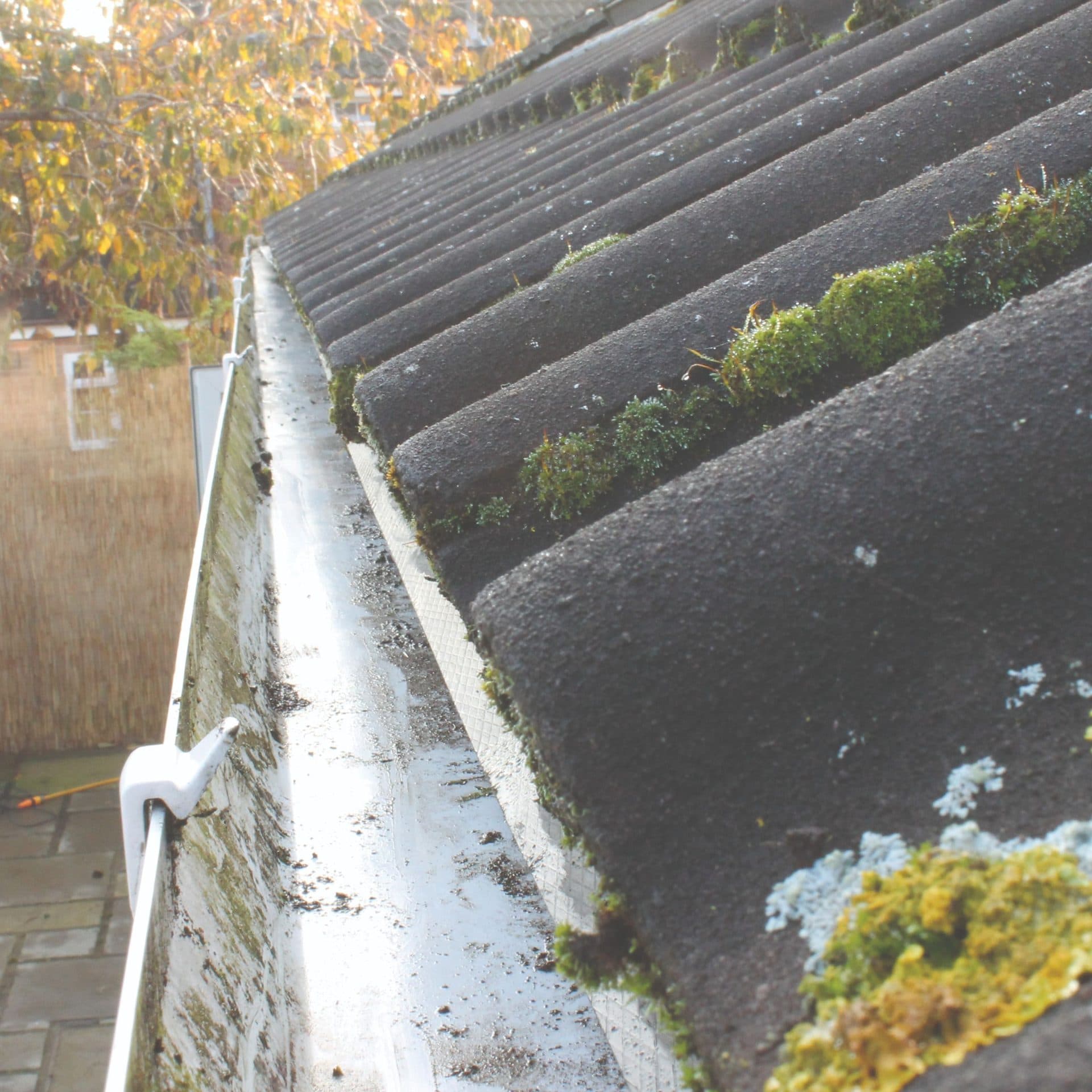 Gutter Cleaning Cost Essex 2026: What to Expect