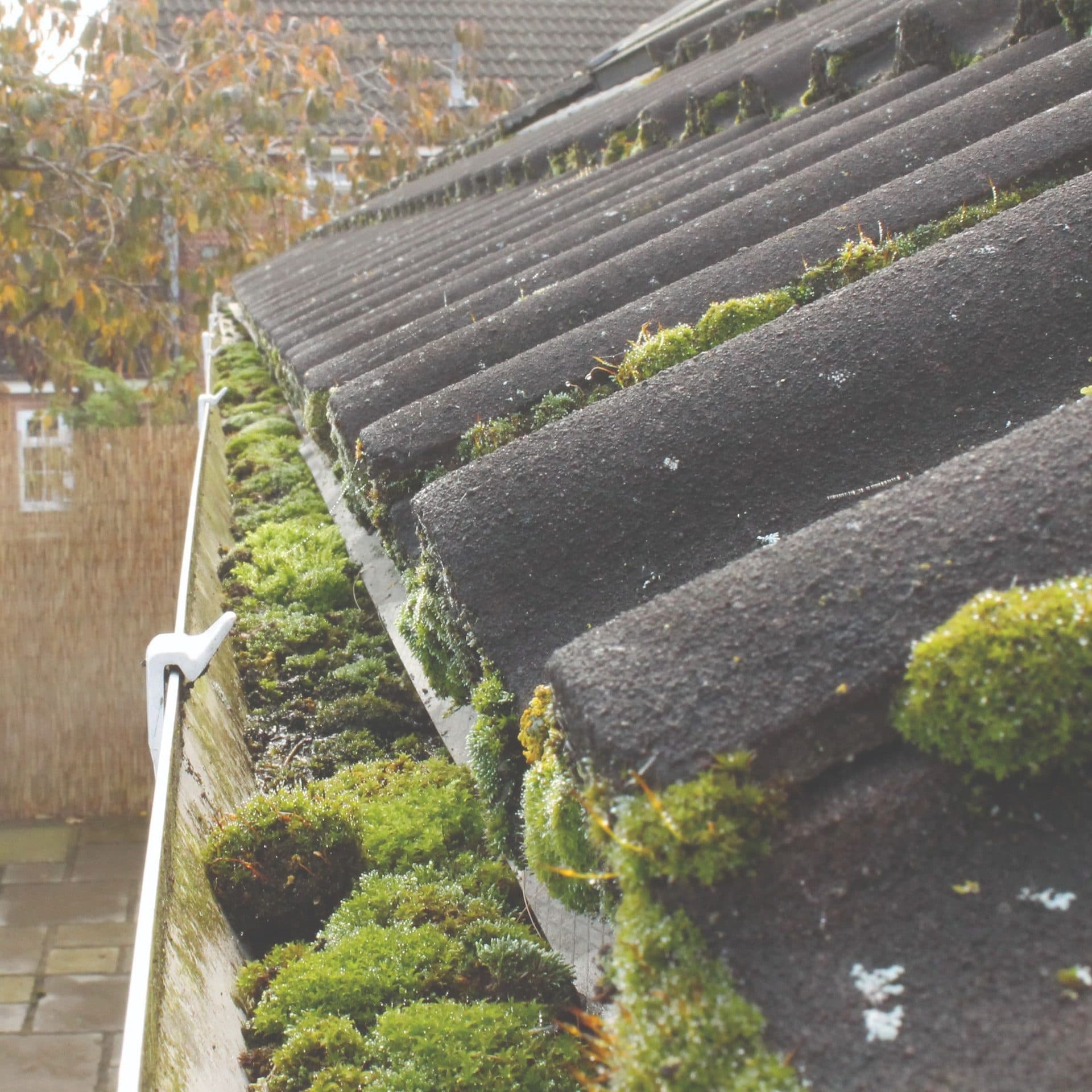 7 Signs Your Gutters Need Cleaning Right Now