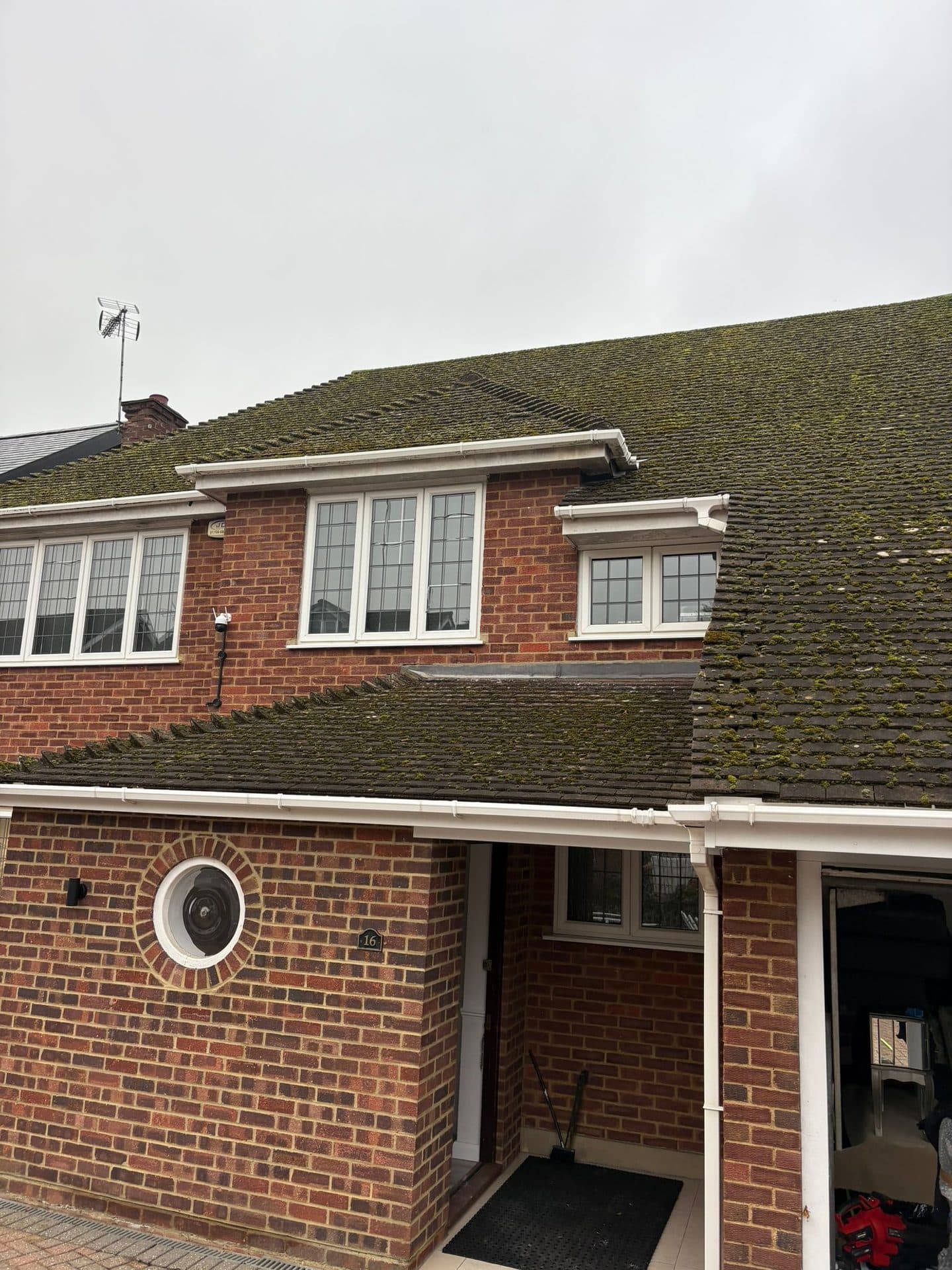 What Roof Moss Is Really Doing to Your Essex Home