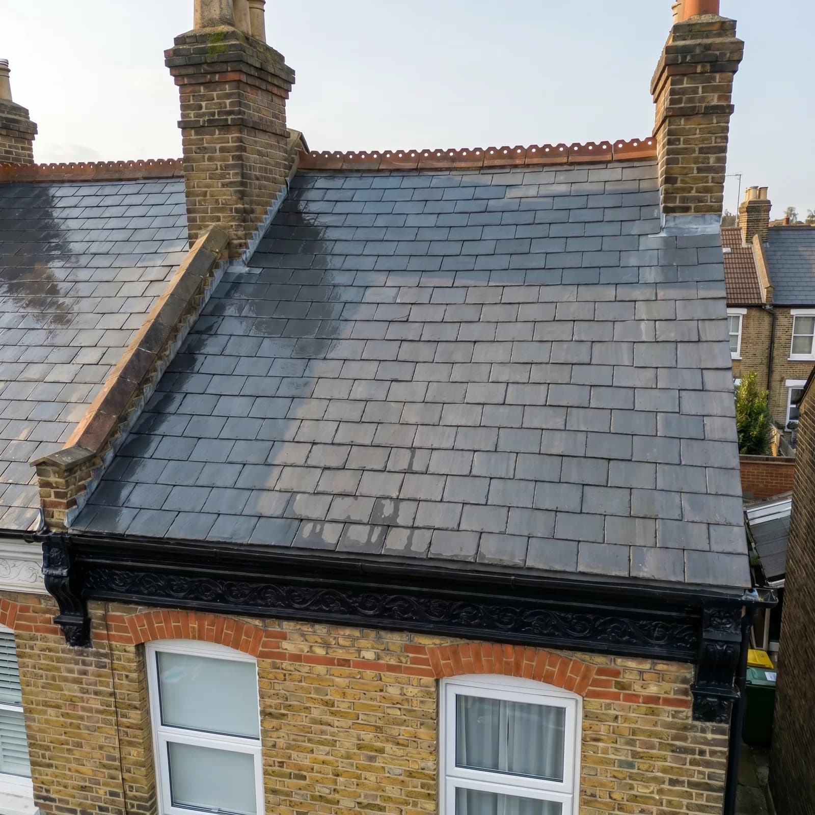 Is Biocide Pet Friendly? What to Know Before a Roof Clean — London & City Pressure Washing Essex