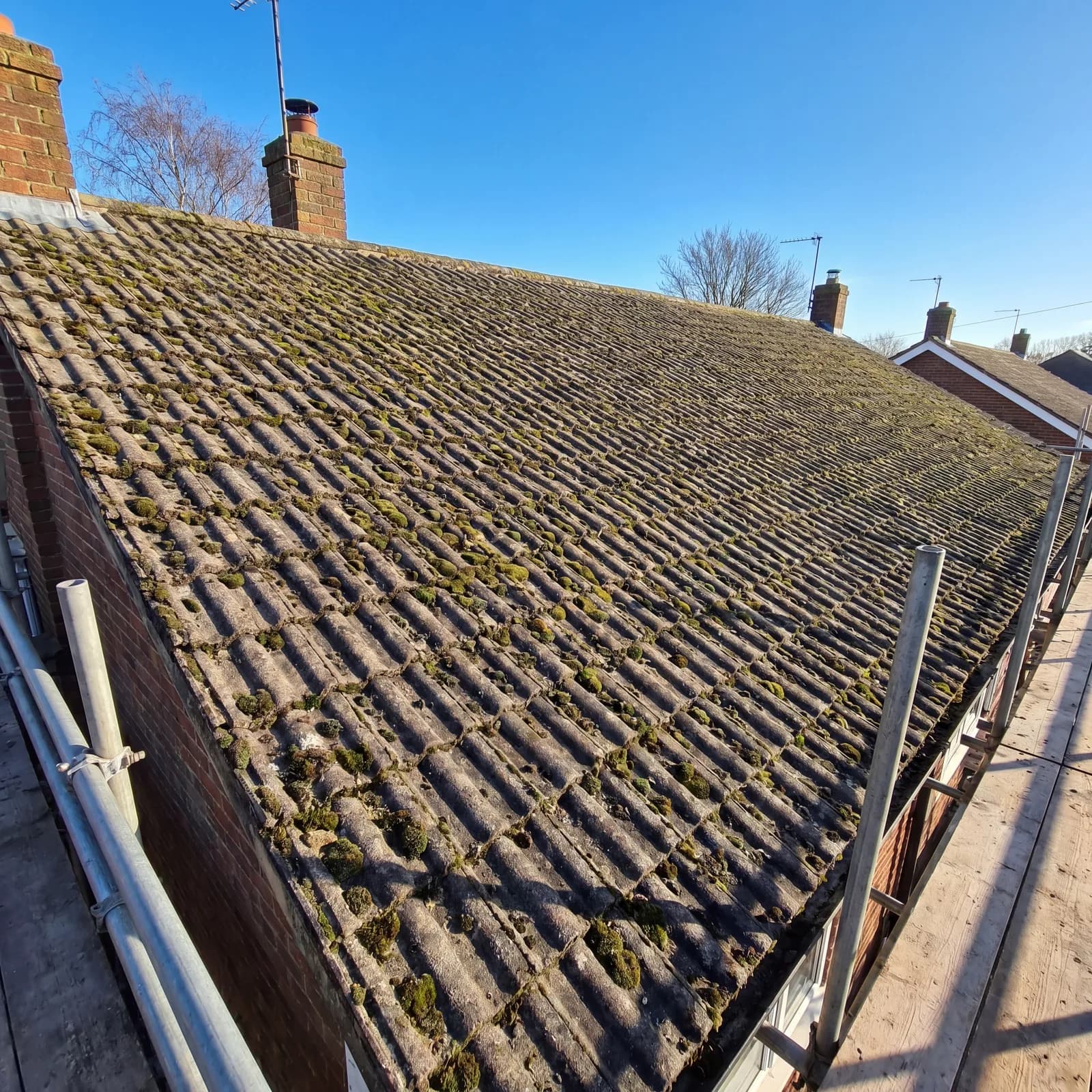 What Kills Moss on a Roof Permanently? Honest UK Guide — London & City Pressure Washing Essex